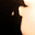 Velaris avatar